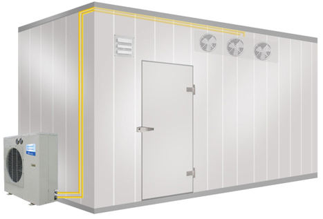 ���wʽ���